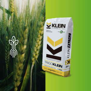KLEIN Leyenda – Intermedio